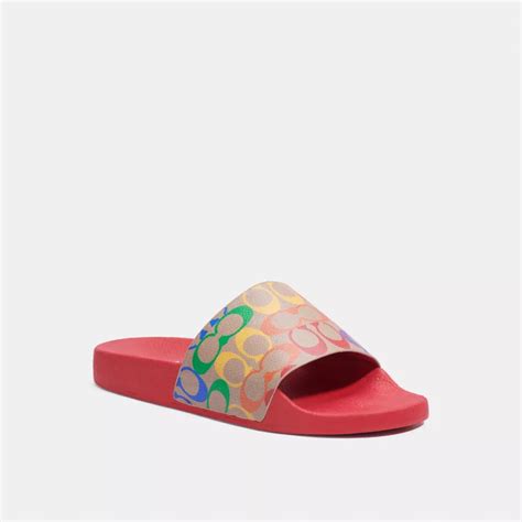 coach rainbow slides